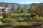 Školní zahrada - obrázek č. 5