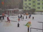 Školní zahrada - obrázek č. 8
